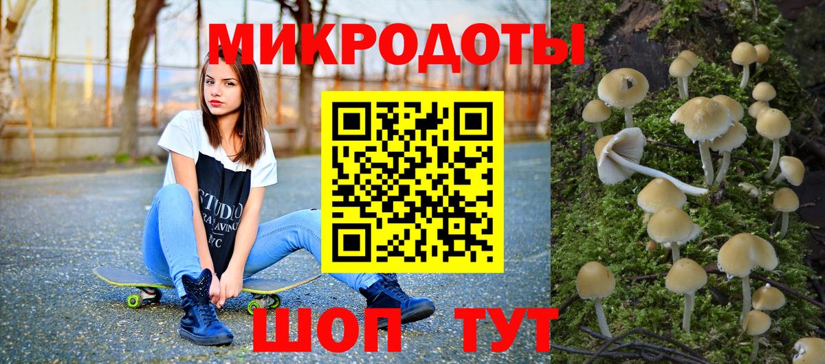 Зима  Галлюциногенные грибы Psilocybe  Псилоцибиновые грибы GOLDEN TEACHER  Вход с VPN 
